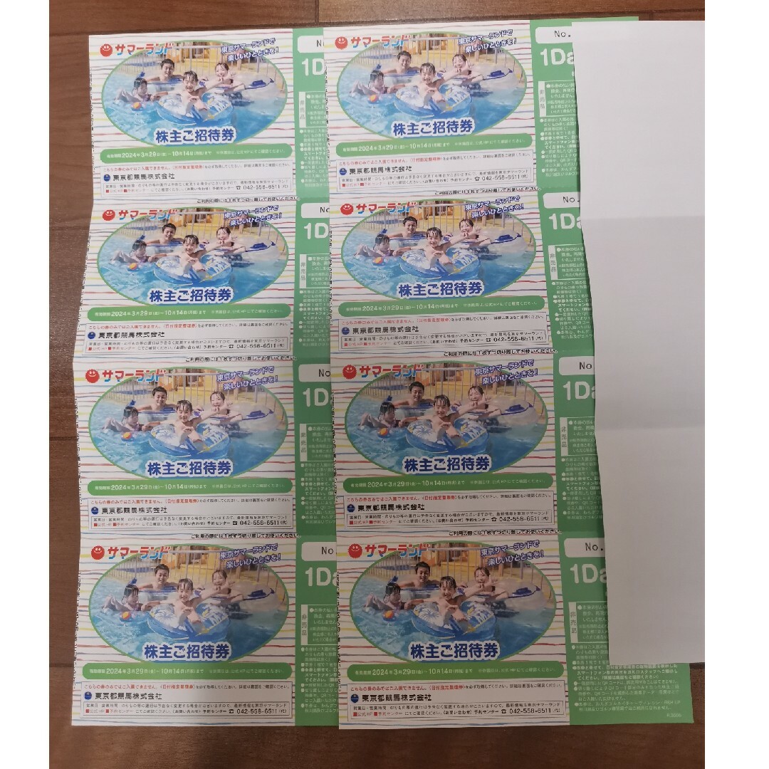 東京都競馬　株主優待　2セット チケットの施設利用券(プール)の商品写真