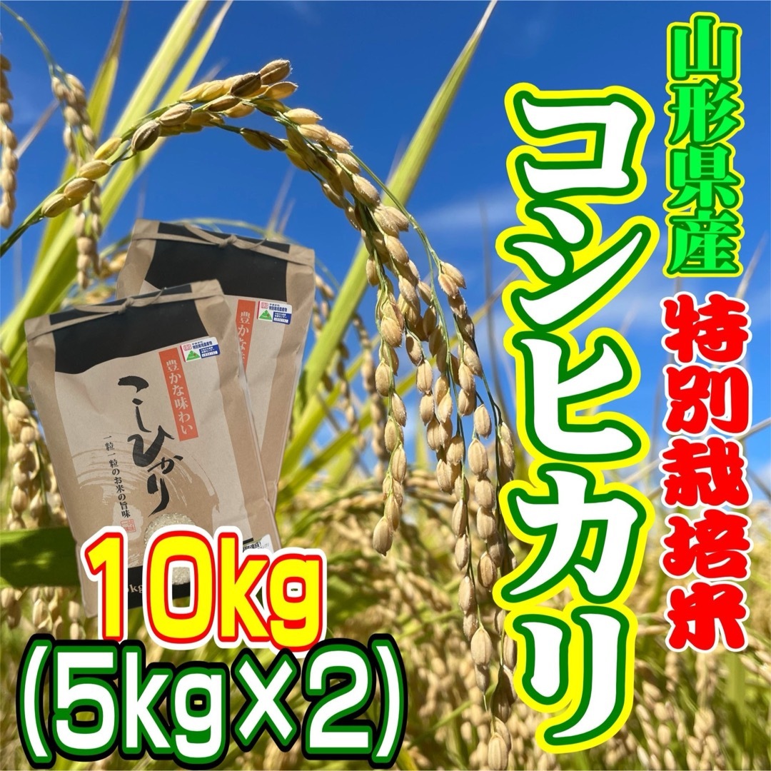 rose様　お米　コシヒカリ10kg 特別栽培米　山形県産　甘くてふっくら 食品/飲料/酒の食品(米/穀物)の商品写真