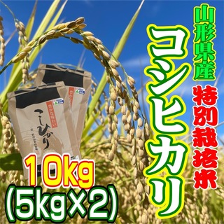 rose様　お米　コシヒカリ10kg 特別栽培米　山形県産　甘くてふっくら(米/穀物)