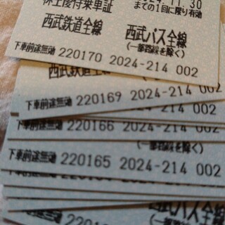 西武鉄道乗車券(鉄道乗車券)