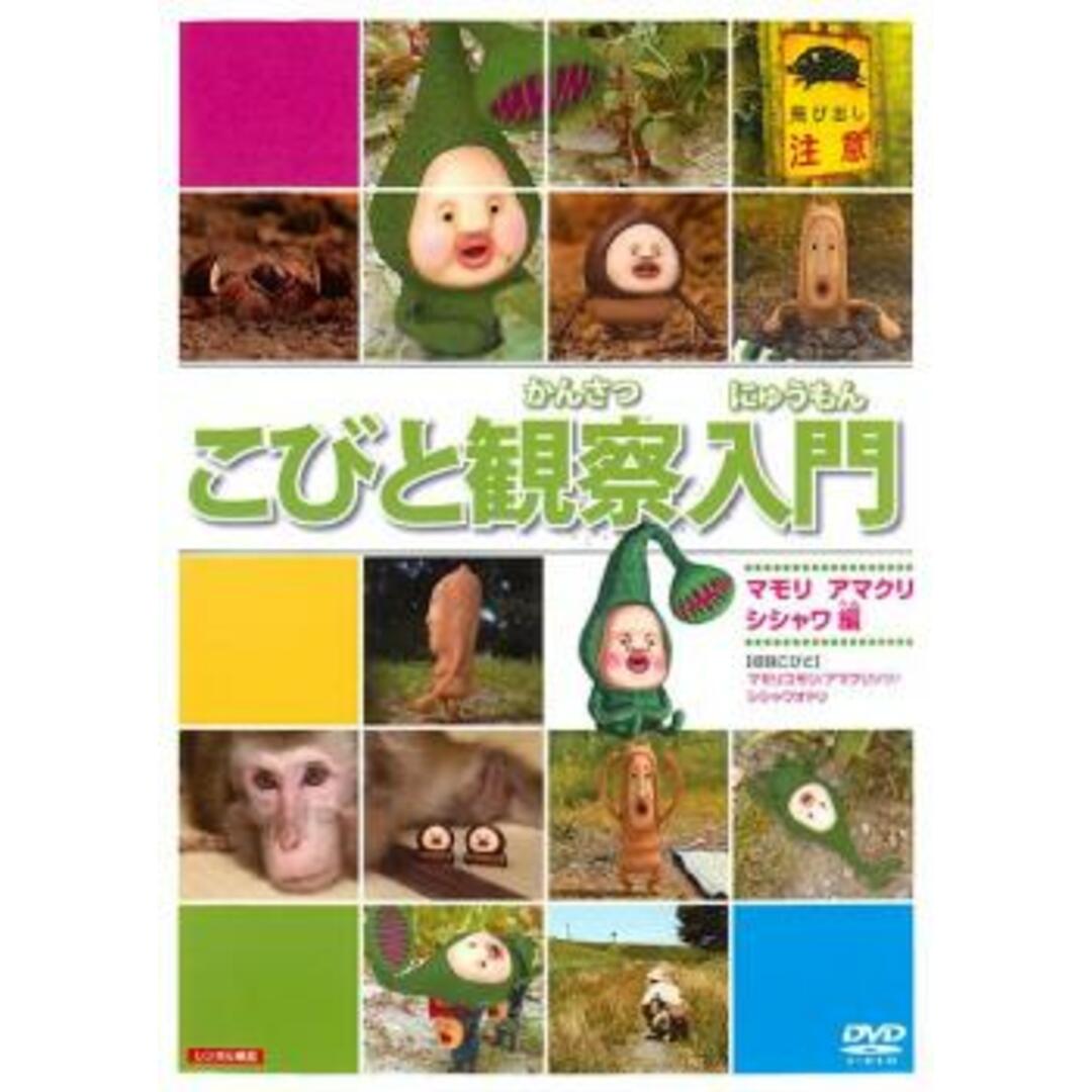 [66346]こびと観察入門 マモリ アマクリ シシャワオドリ 編【趣味、実用 中古 DVD】ケース無:: レンタル落ち エンタメ/ホビーのDVD/ブルーレイ(キッズ/ファミリー)の商品写真