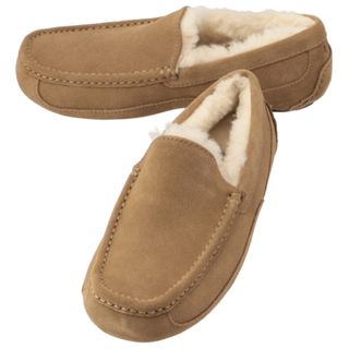 アグ(UGG)のアグ/UGG シューズ メンズ ASCOT スリッポン CHESTNUT 1101110-CHE _0410ff(ブーツ)