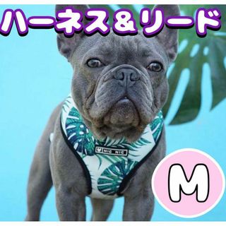 かわいい♡ハーネス＆リード 犬用 小型～中型犬♡ボタニカル 【M】メッシュ 緑色(犬)