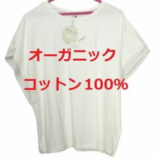 袖レース★半袖 Tシャツ タグ付き 大きいサイズ