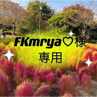 FKmrya♡様専用　2点(各種パーツ)