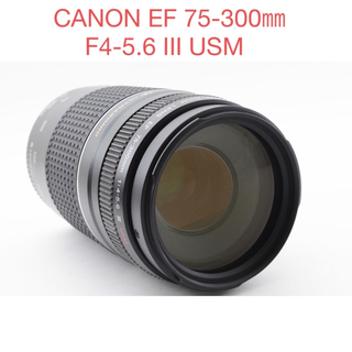 実用美品/キャノン/CANON EF 75-300㎜F4-5.6 III USM
