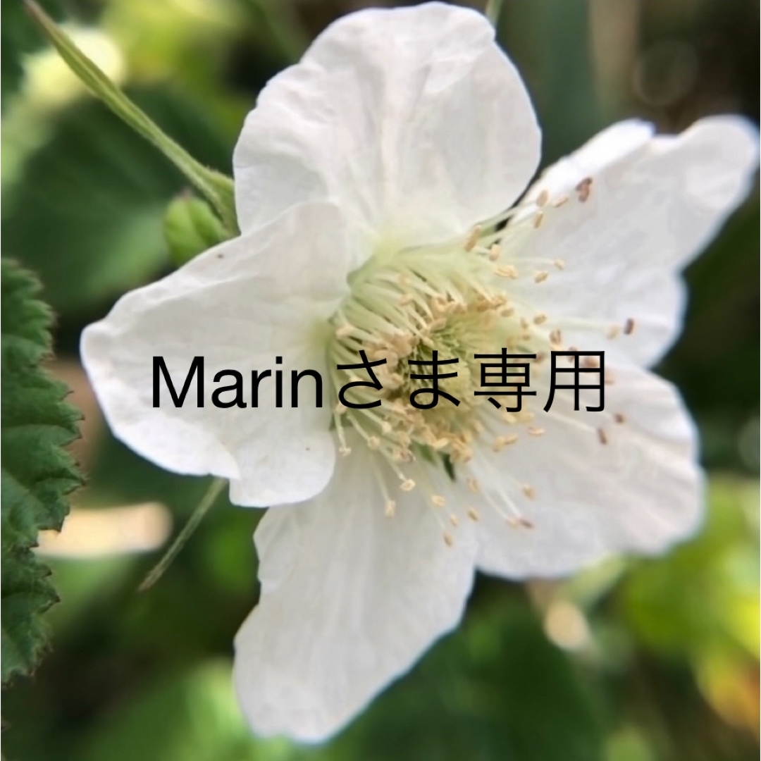 Marinさま専用エプロン キッズ/ベビー/マタニティの授乳/お食事用品(お食事エプロン)の商品写真