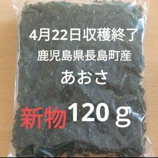 4月22日収穫終了 鹿児島県長島町産あおさ あおさのり 乾燥あおさ(乾物)