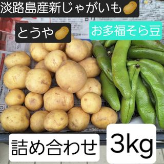 淡路島産新じゃがいも🥔とそら豆の旬の野菜セット3kg(野菜)