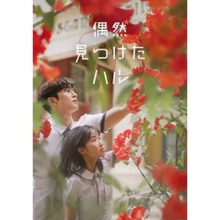 偶然見つけたハル　ブルーレイ(韓国/アジア映画)