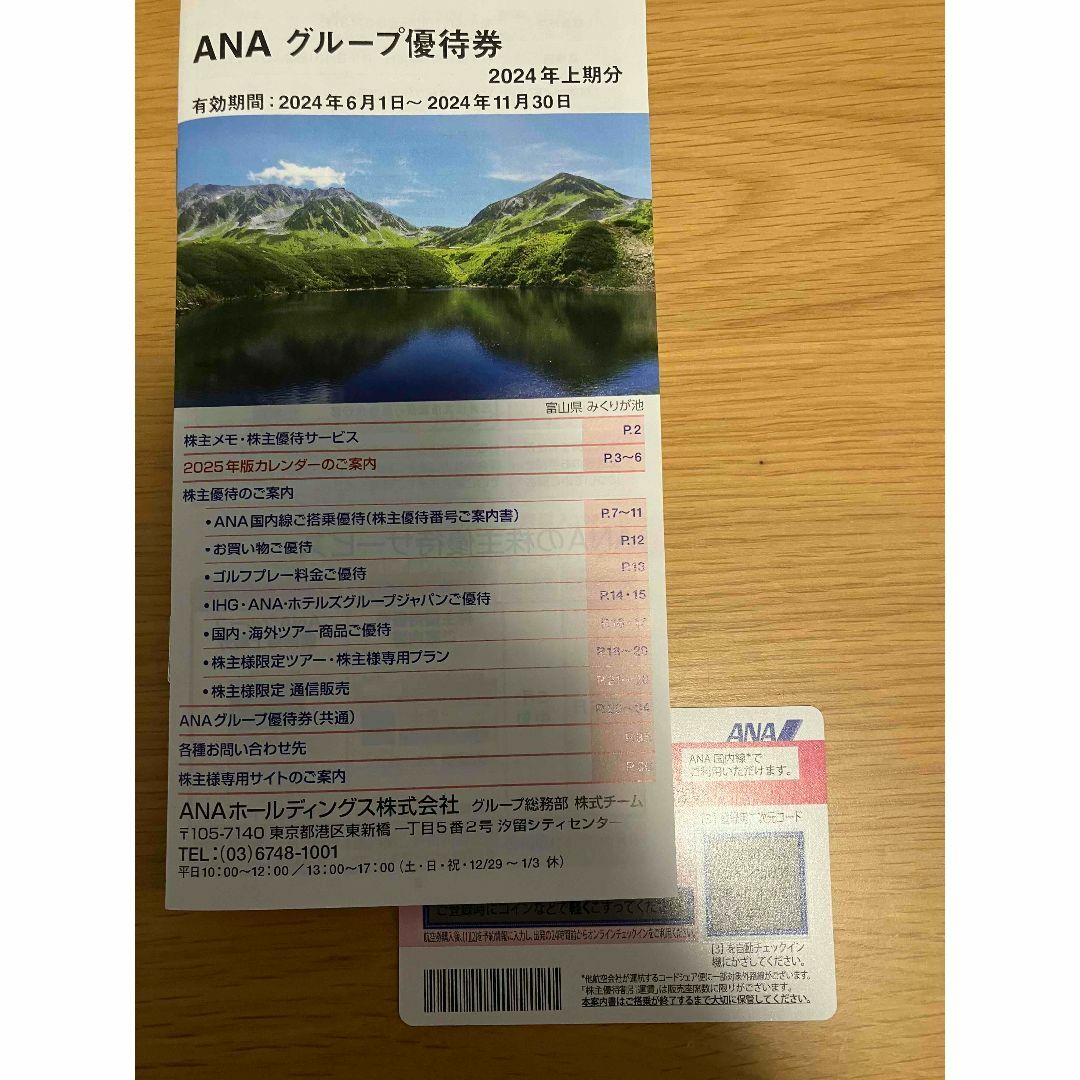 ANA株主優待チケット一枚 チケットの乗車券/交通券(航空券)の商品写真