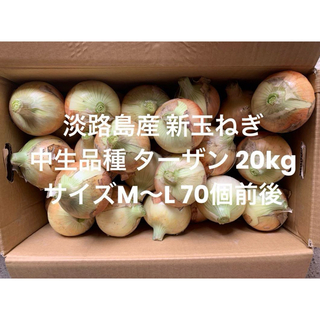 兵庫県 淡路島産 玉ねぎ M～L無選別 20kg 中生品種 ターザン 70個前後(野菜)