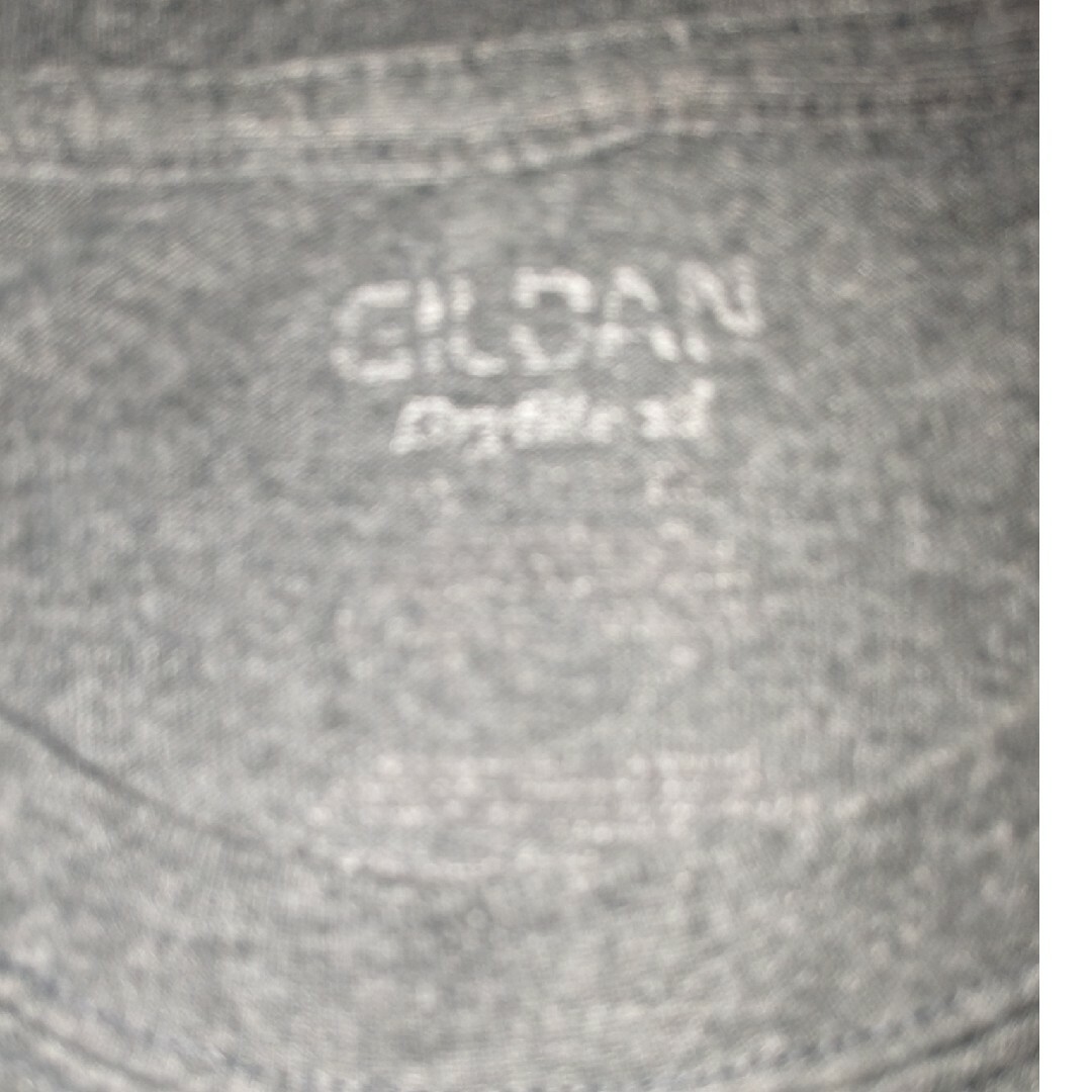 GILDAN(ギルタン)のGILDAN ギルダン 両面プリント Tシャツ メンズのトップス(Tシャツ/カットソー(半袖/袖なし))の商品写真