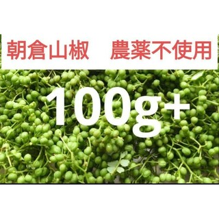 朝倉山椒 100g （多めに入れます）(野菜)