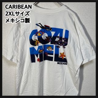 【メキシコ製】半袖Tシャツ　ダイビング　熱帯魚　企業ロゴ　白T　ヒトデ37(Tシャツ/カットソー(半袖/袖なし))