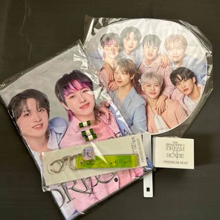 エヌシーティー(NCT)のNCT DREAM  プレミアムシート　グッズ　アプグレ(アイドルグッズ)