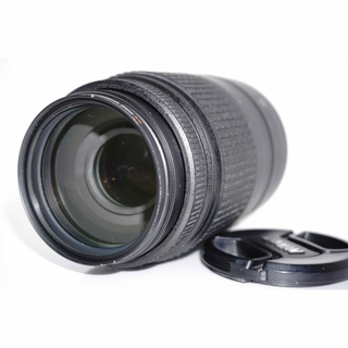 ニコン(Nikon)のフィルター付❤️ニコン AF-S55-300mm F4.5-5.6G VR(レンズ(ズーム))