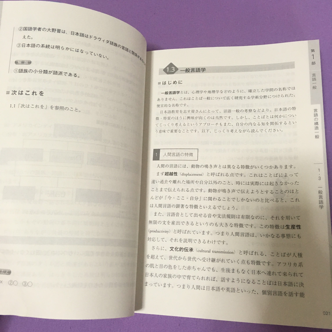 日本語教育のスタ－トライン エンタメ/ホビーの本(語学/参考書)の商品写真