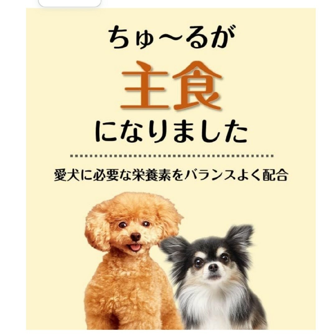 いなばペットフード(イナバペットフード)のちゅーるごはんお試し6本セット その他のペット用品(犬)の商品写真