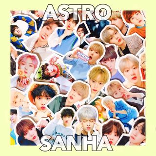 アストロ(ASTRO)のASTRO アストロ サナ ver.① フレークシール シール(アイドルグッズ)