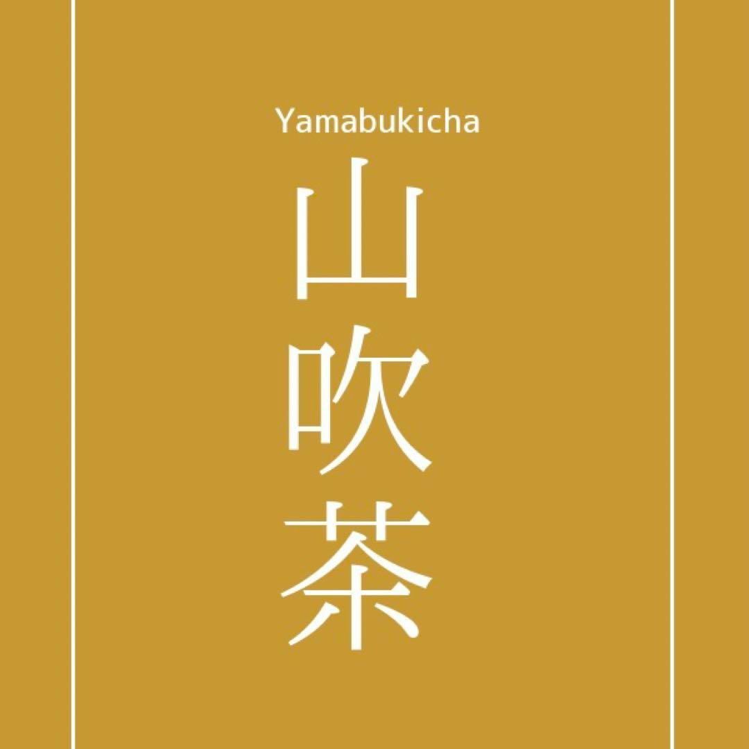 夏帯 名古屋帯 絽 シンプルな横段模様 山吹茶色 着物 RO-5454 レディースの水着/浴衣(着物)の商品写真