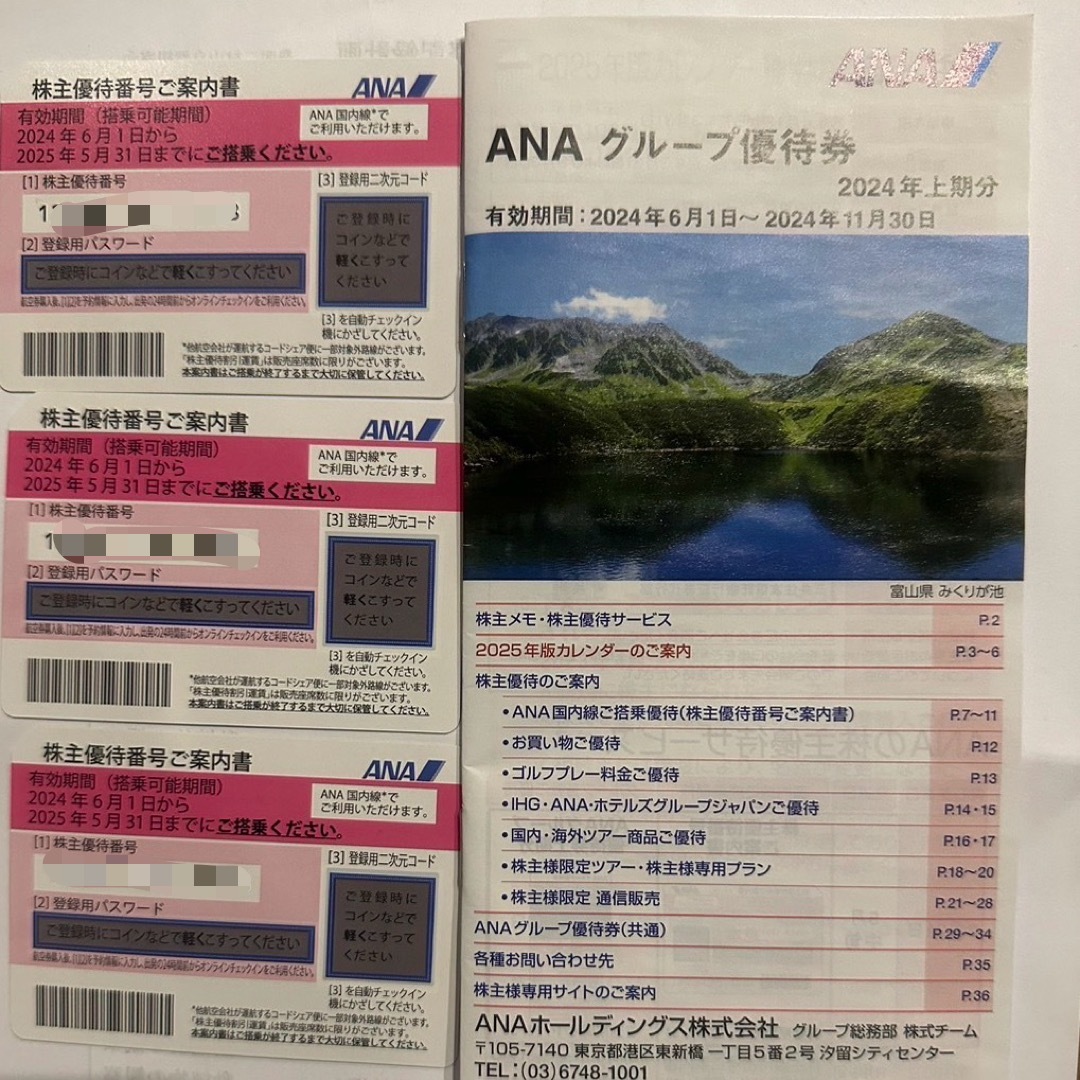 ANA(全日本空輸)(エーエヌエー(ゼンニッポンクウユ))のANA 株主優待券　3枚　グループ優待券　1冊 チケットの乗車券/交通券(航空券)の商品写真