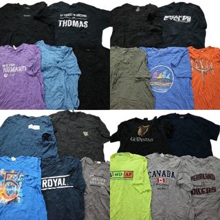 古着卸 まとめ売り カラーmix プリント 半袖Tシャツ 20枚セット (メンズ 2XL /3XL /4XL ) 企業 カレッジ風 オレンジ ブルー MT0287(その他)