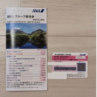 エーエヌエー(ゼンニッポンクウユ)(ANA(全日本空輸))のANA 株主優待 1枚(航空券)