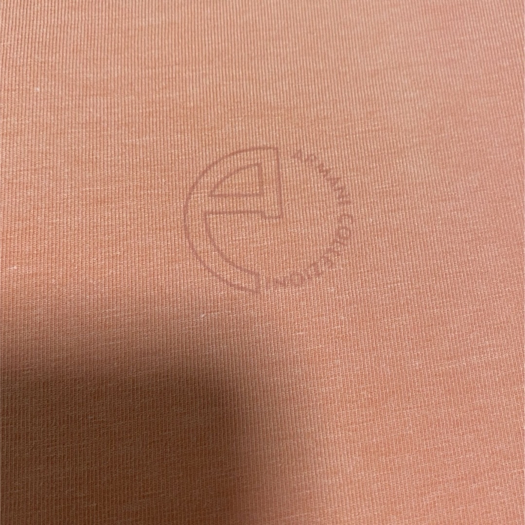 ARMANI COLLEZIONI(アルマーニ コレツィオーニ)のアルマーニ　服(中古) レディースのトップス(Tシャツ(半袖/袖なし))の商品写真