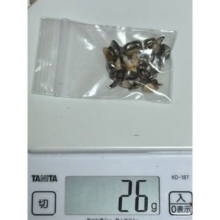 撤去冠26g(その他)