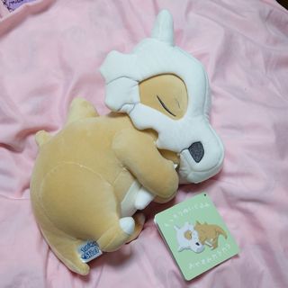 ポケモン(ポケモン)のポケモン カラカラ ぬいぐるみ Pokemon Sleep もっちりぬいぐるみ(ぬいぐるみ)