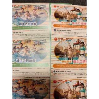 東京都競馬 株主優待 東京サマーランド 1冊(その他)