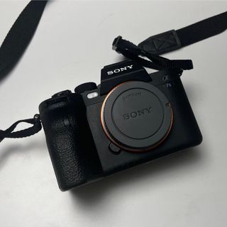 ソニー(SONY)のSONY α7sⅢ ILCE-7SM3(ミラーレス一眼)