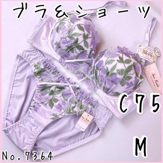 ブラジャーショーツセットC75    No.7364(ブラ&ショーツセット)