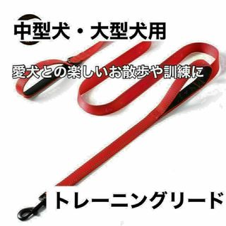 犬 リード 赤 トレーニング 訓練 夜 大型犬 中型犬 150cm しつけ(犬)