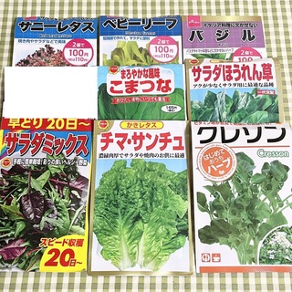 野菜の種 お裾分け 8種類 各20粒＋α(野菜)