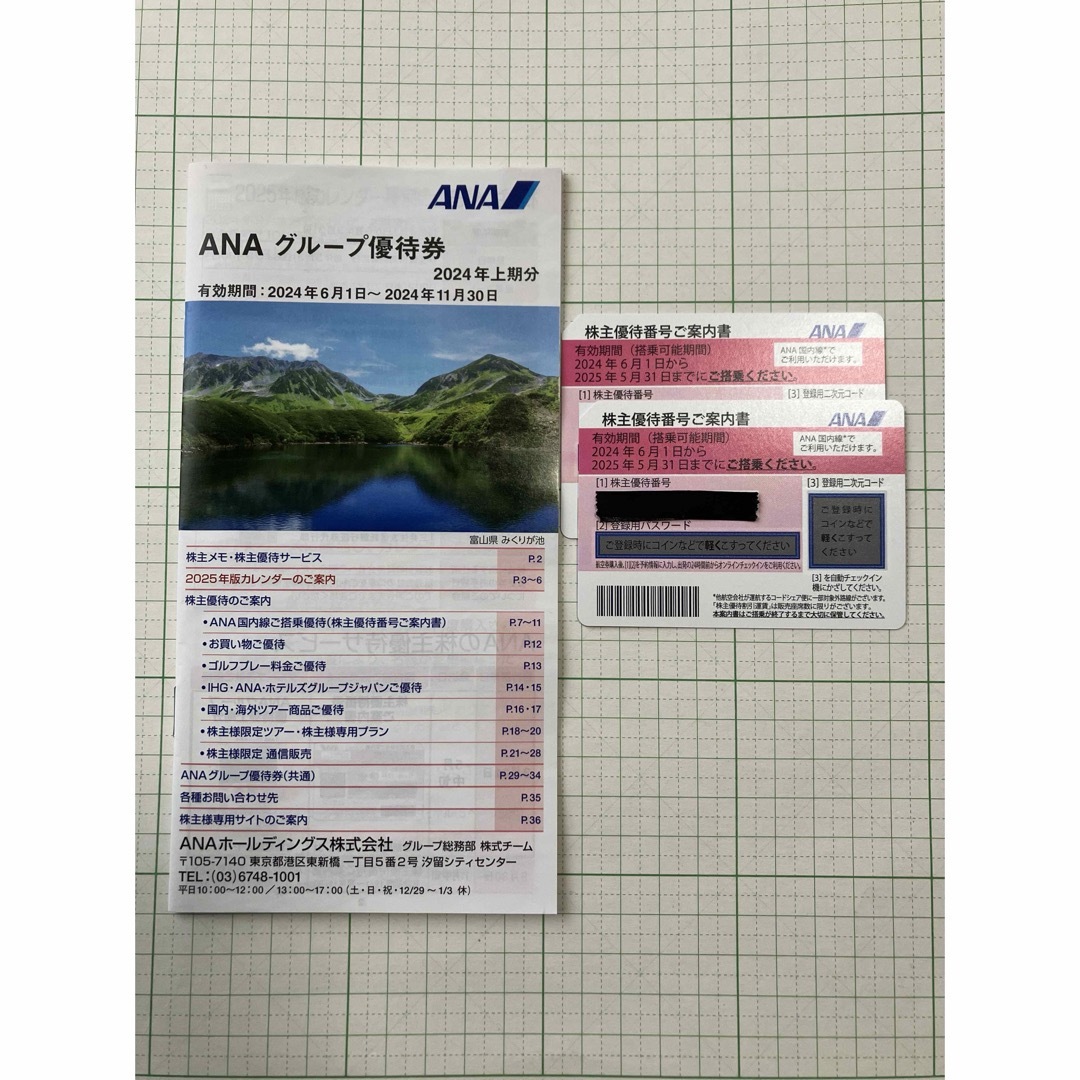 ANA(全日本空輸)(エーエヌエー(ゼンニッポンクウユ))のANA 株主優待券2枚 チケットの優待券/割引券(その他)の商品写真
