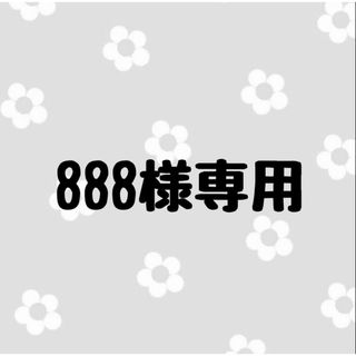 888様専用(つけ爪/ネイルチップ)