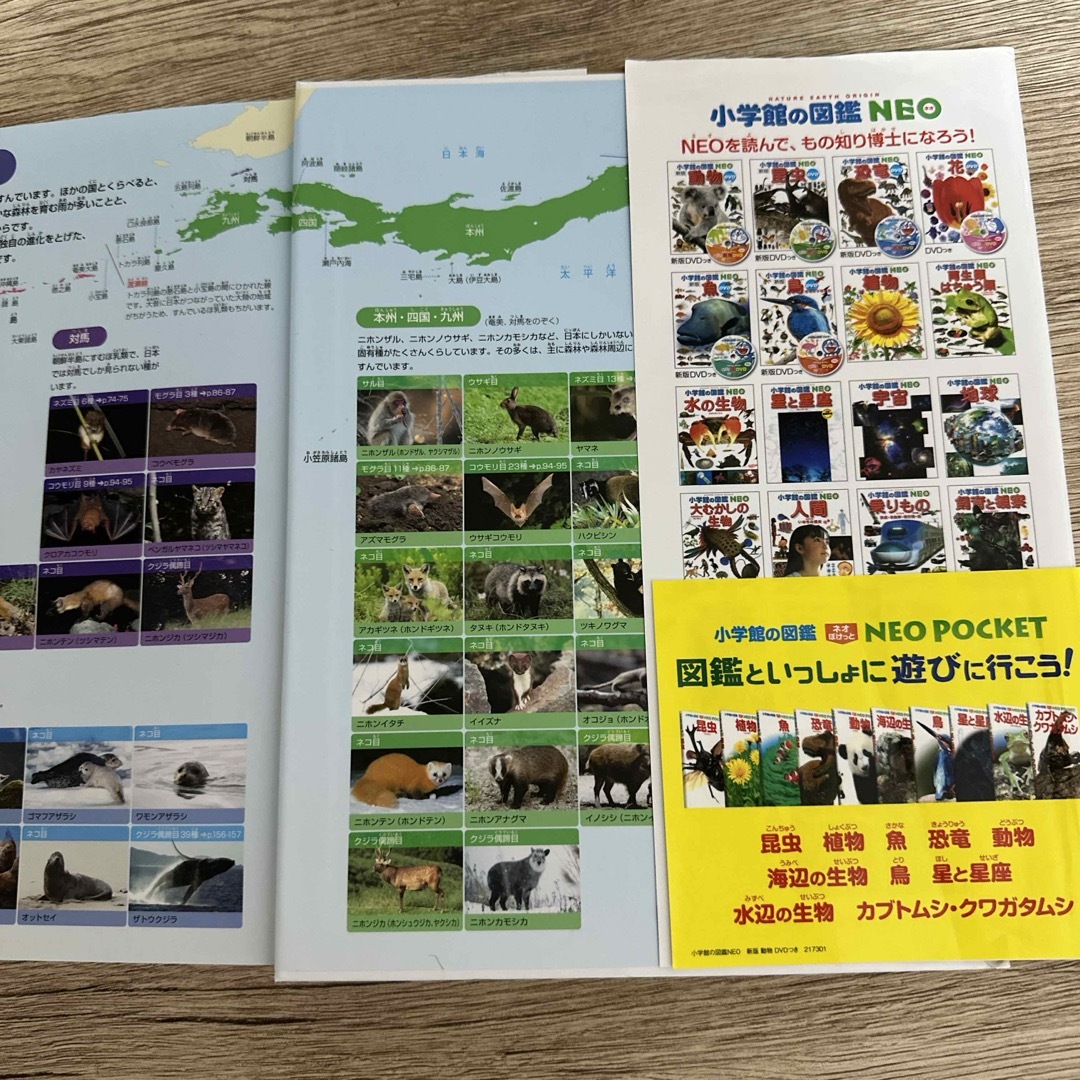 小学館(ショウガクカン)の小学館の図鑑Neo動物 エンタメ/ホビーの本(絵本/児童書)の商品写真