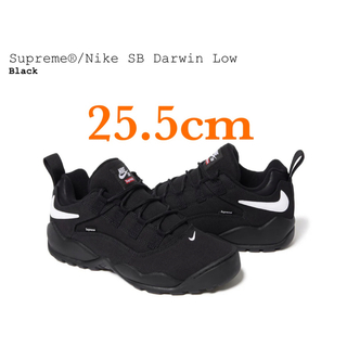 シュプリーム(Supreme)のSupreme Nike SB Darwin Low BLACK 25.5cm(スニーカー)
