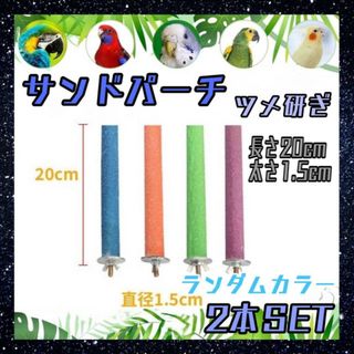 サンドパーチ　2本セット　20㎝　鳥　くちばし研ぎ　止まり木　インコ　爪研ぎ(鳥)