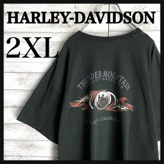 ハーレーダビッドソン(Harley Davidson)の9563【希少2XLサイズ】ハーレーダビッドソン☆両面プリントtシャツ　入手困難(Tシャツ/カットソー(半袖/袖なし))