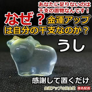 なぜ、金運アップは自分の干支なのか？金運干支置物『うし（牛・丑）』251(置物)