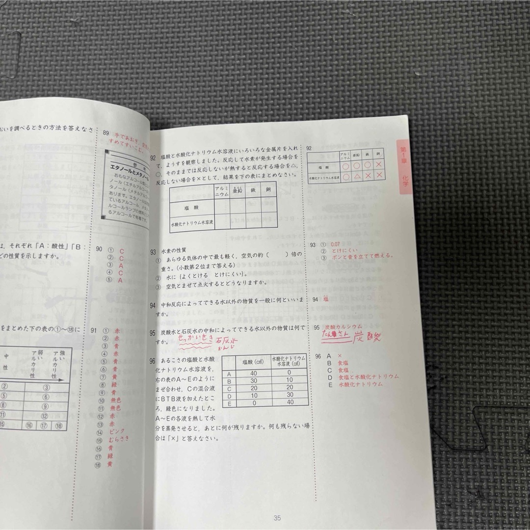 SAPIX 社会コアプラス　理科コアプラス　2刷セット エンタメ/ホビーの本(語学/参考書)の商品写真