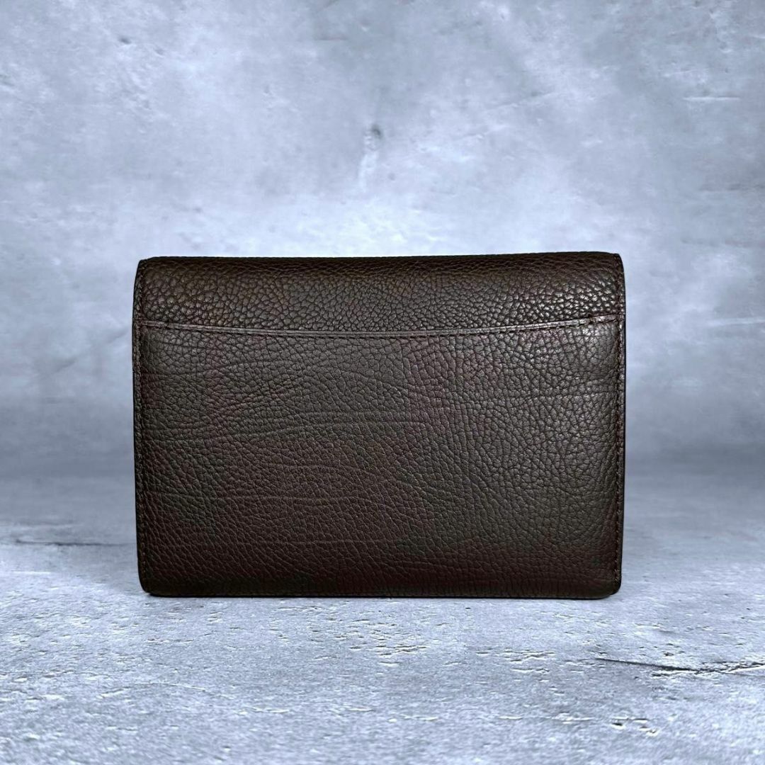 DELVAUX(デルヴォー)のDELVAUX サンプリシーム レザー ウォレット 折り財布 マルチカラー レディースのファッション小物(財布)の商品写真