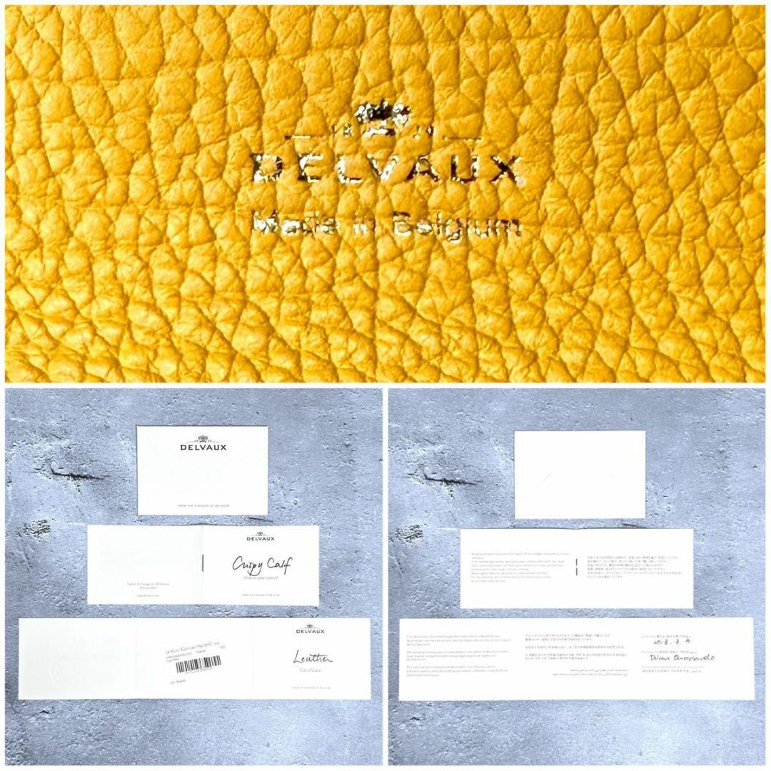 DELVAUX(デルヴォー)のDELVAUX サンプリシーム レザー ウォレット 折り財布 マルチカラー レディースのファッション小物(財布)の商品写真