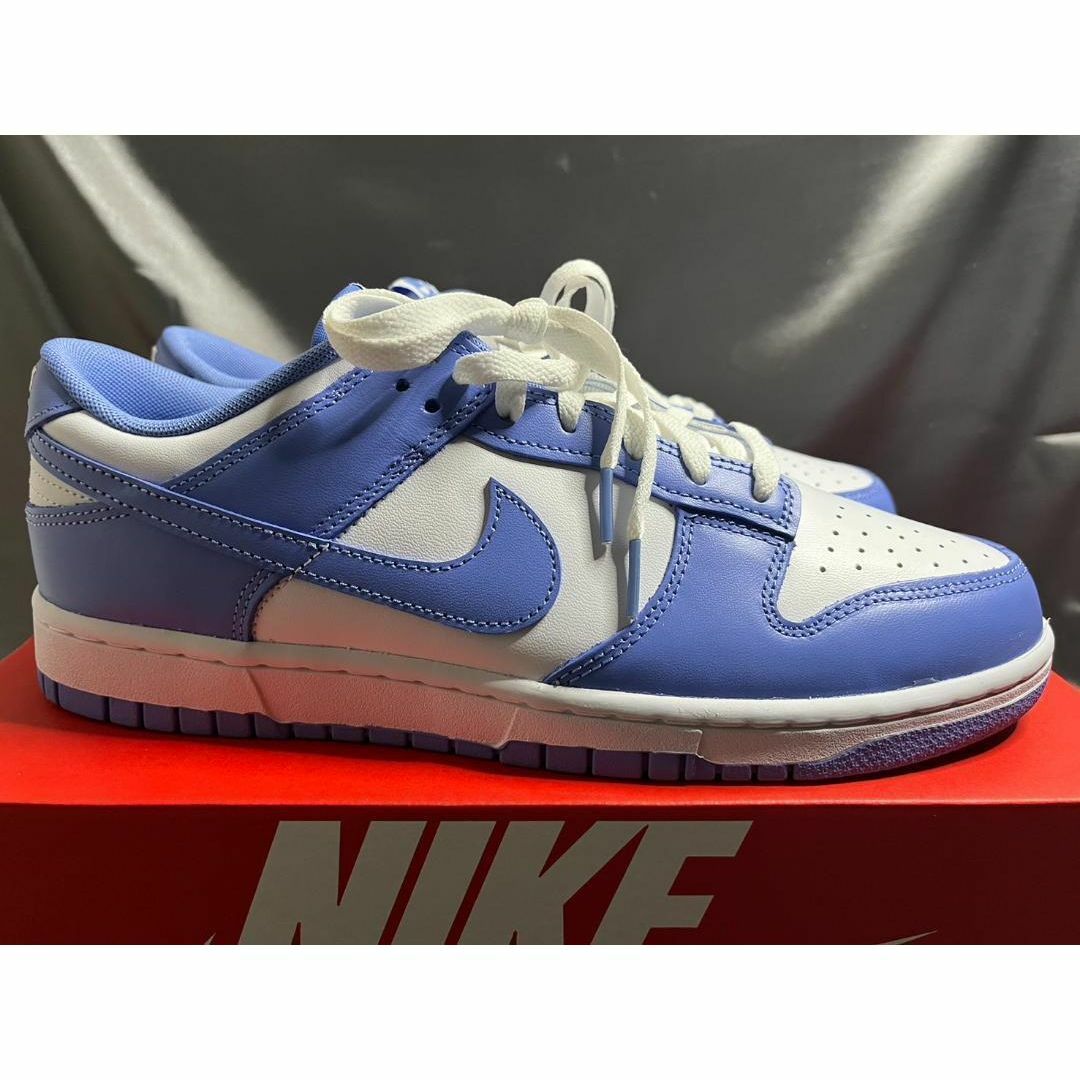 NIKE(ナイキ)の新品29cm Nike Dunk Low Retro BTTYS ポーラーブルー メンズの靴/シューズ(スニーカー)の商品写真