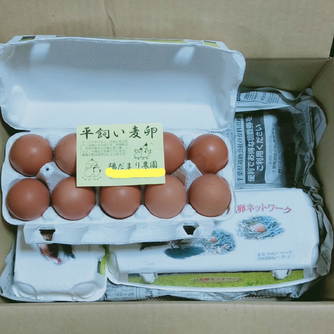 平飼い麦卵 ML 60個 朝採り卵 食品/飲料/酒の食品(その他)の商品写真