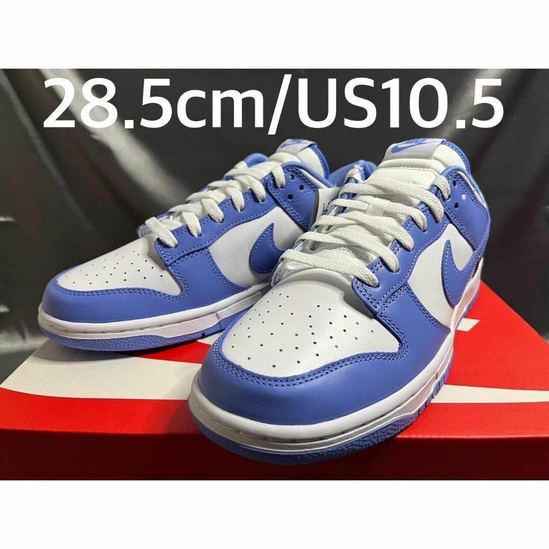 NIKE(ナイキ)の新品28.5cm NikeDunkLow Retro BTTYS ポーラーブルー メンズの靴/シューズ(スニーカー)の商品写真