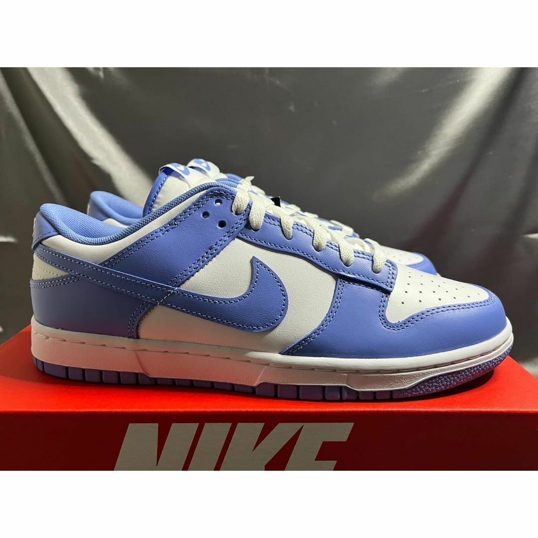 NIKE(ナイキ)の新品28.5cm NikeDunkLow Retro BTTYS ポーラーブルー メンズの靴/シューズ(スニーカー)の商品写真